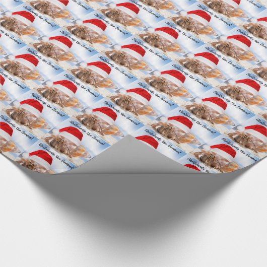 Hermit Crab KerstSmall Cadeaupapier (Hoek)