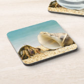 Hermit crab kijkt naar grotere schelp onderzetter (Linkerzijde)