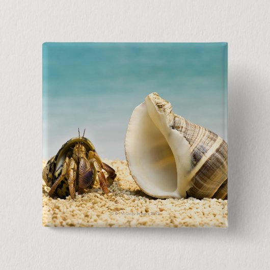 Hermit crab kijkt naar grotere schelp vierkante button 5,1 cm (Voorkant)