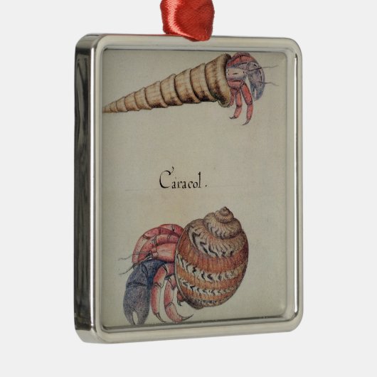 Hermit Crab Metalen Ornament (Rechts)