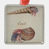 Hermit Crab Metalen Ornament (Voorkant)