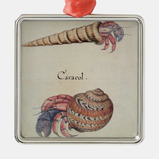 Hermit Crab Metalen Ornament (Voorkant)