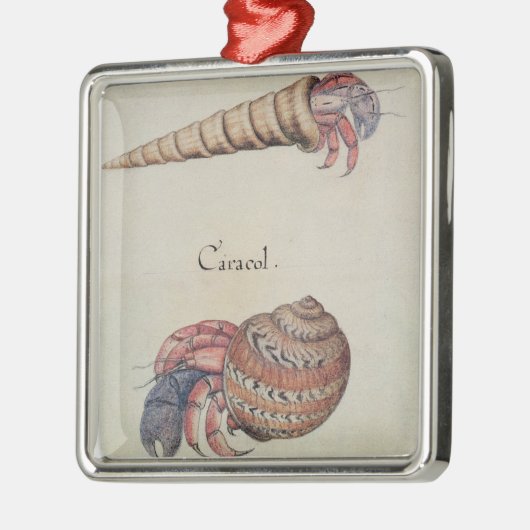 Hermit Crab Metalen Ornament (Links)