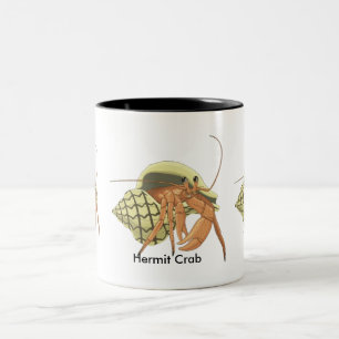 Hermit Crab Mok