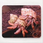 Hermit Crab Mousepad Muismat (Voorkant)