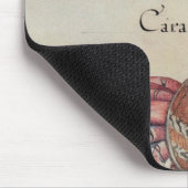 Hermit Crab Muismat (Hoek)