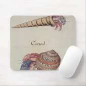 Hermit Crab Muismat (Met muis)