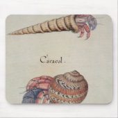 Hermit Crab Muismat (Voorkant)