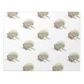 Hermit Crab Notitieblok (Voorkant)