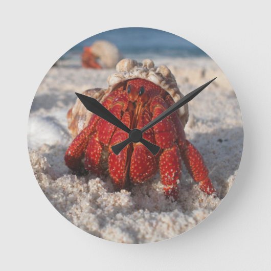 Hermit Crab Ronde Klok (Voorkant)