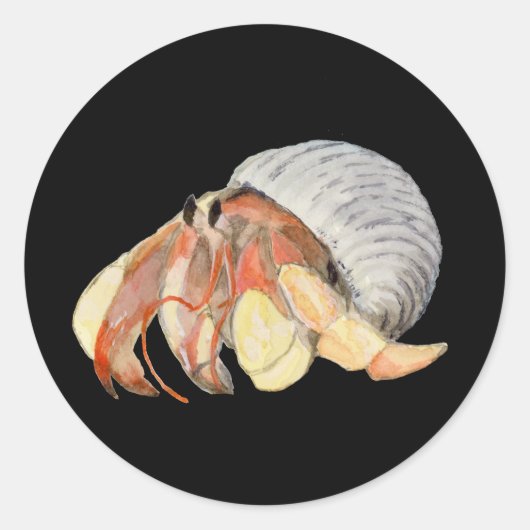 Hermit Crab Ronde Sticker (Voorkant)