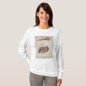 Hermit Crab T-shirt (Voorkant volledig)