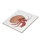 Hermit Crab Tegeltje (Zijkant)