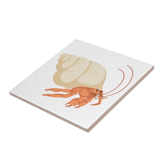 Hermit Crab Tegeltje (Zijkant)