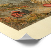 Hermit Crab Zee Shell Color Print (Hoek)