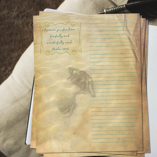 Hermit Crabs Scripture Scrapbook Paper Flyer