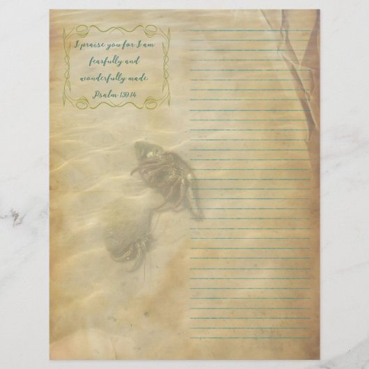 Hermit Crabs Scripture Scrapbook Paper Flyer (Voorkant)