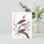Hermit Thrush Audubon Bird met Red Berries Briefkaart (Staand voorkant)