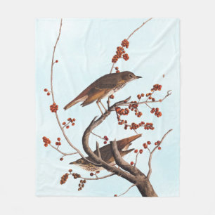 Hermit Thrush Audubon Bird met Red Berries Fleece Deken