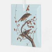 Hermit Thrush Audubon Bird met Red Berries Glas Ornament (Voorkant links)