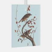 Hermit Thrush Audubon Bird met Red Berries Glas Ornament (Voorkant Rechts)