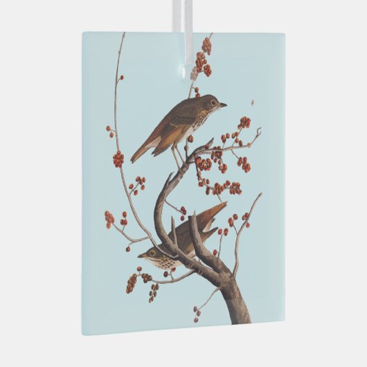 Hermit Thrush Audubon Bird met Red Berries Glas Ornament (Voorkant Rechts)