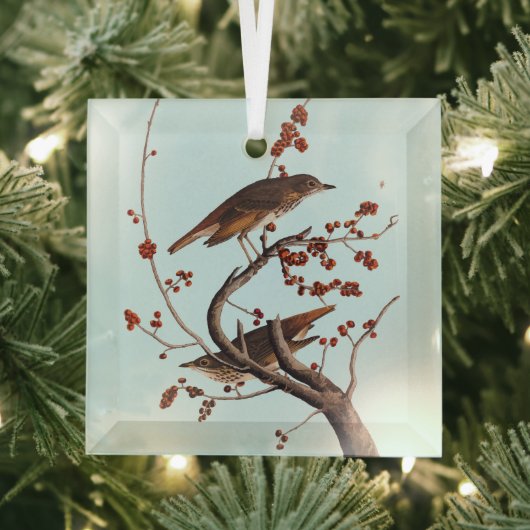 Hermit Thrush Audubon Bird met Red Berries Glas Ornament (Insitu)