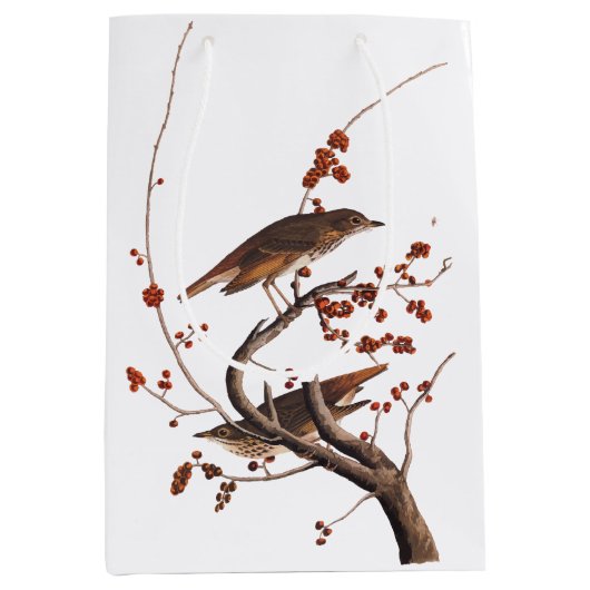 Hermit Thrush Audubon Bird met Red Berries Medium Cadeauzakje (Voorkant)