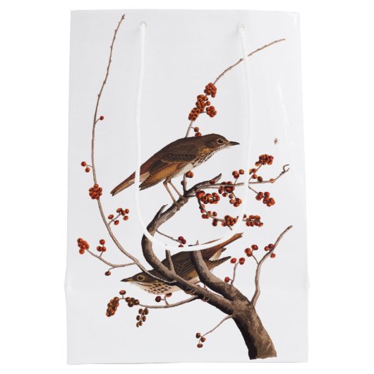 Hermit Thrush Audubon Bird met Red Berries Medium Cadeauzakje (Achterkant)