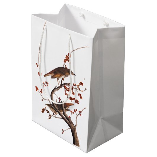 Hermit Thrush Audubon Bird met Red Berries Medium Cadeauzakje (Achterkant Gekanteld)