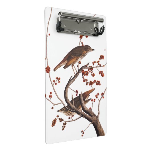 Hermit Thrush Audubon Bird met Red Berries Mini Klembord (Schuin)