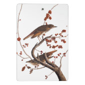 Hermit Thrush Audubon Bird met Red Berries Mini Klembord (Achterkant)