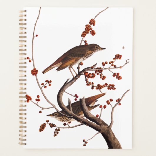 Hermit Thrush Audubon Bird met Red Berries Planner (Voorkant)
