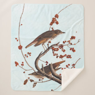 Hermit Thrush Audubon Bird met Red Berries Sherpa Deken