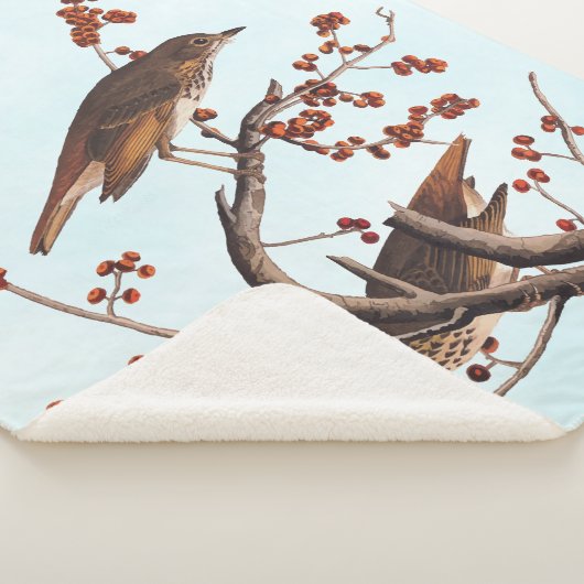 Hermit Thrush Audubon Bird met Red Berries Sherpa Deken (3/4)