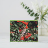 Hermit Thrush Briefkaart (Staand voorkant)