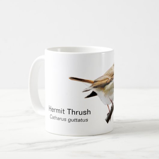 Hermit Thrush Coffee Mok (Voorkant links)
