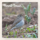 Hermit Thrush Glazen Onderzetter (Voorkant)
