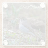 Hermit Thrush Glazen Onderzetter (Achterkant)