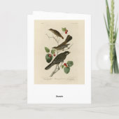 Hermit Thrush, Grey Jay Audubon's Birds of America Kaart (Achterkant)
