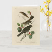 Hermit Thrush, Grey Jay Audubon's Birds of America Kaart (Gele Bloem)