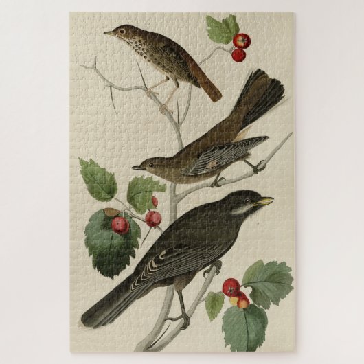 Hermit Thrush, Grey Jay Audubon's Birds of America Legpuzzel (Verticaal)