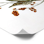 Hermit Thrush John James Audubon Birds of America Poster (Hoek)