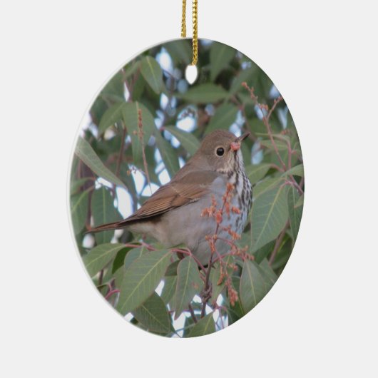 Hermit Thrush Keramisch Ornament (Rechts)