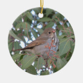 Hermit Thrush Keramisch Ornament (Voorkant)