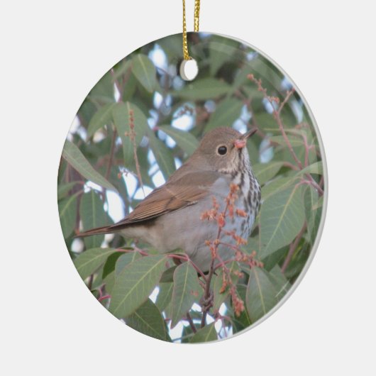 Hermit Thrush Keramisch Ornament (Links)