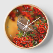 Hermit Thrush Songbird op de Scarlet Firethorn (Voorkant)