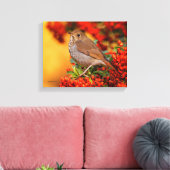 Hermit Thrush Songbird op de Scarlet Firethorn Canvas Afdruk (Insitu (Woonkamer))