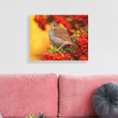 Hermit Thrush Songbird op de Scarlet Firethorn Canvas Afdruk (Insitu (Woonkamer))