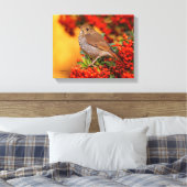 Hermit Thrush Songbird op de Scarlet Firethorn Canvas Afdruk (Insitu (Slaapkamer))